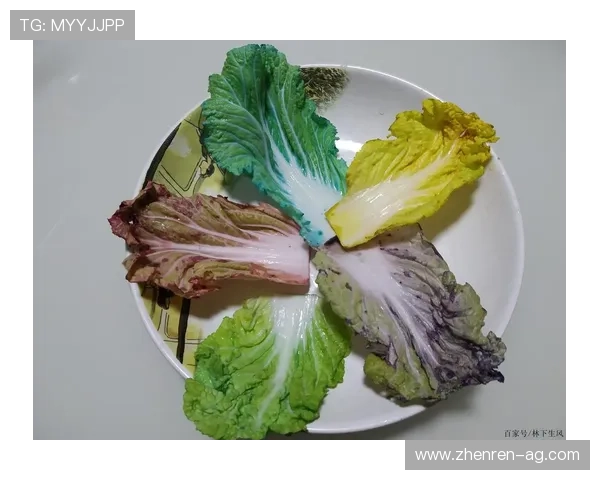 白菜玩游戏：探索趣味与策略的完美结合